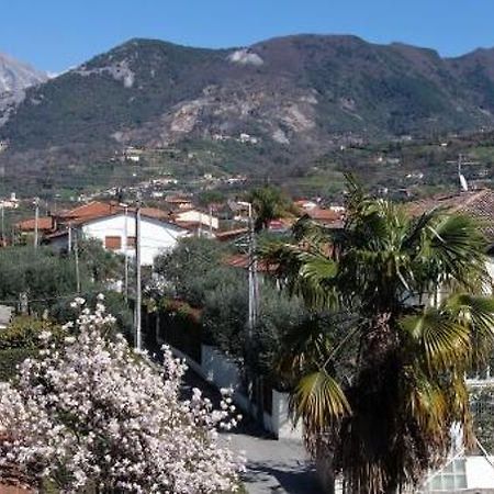 House Versilia Luca E Giada, 5 Chilometri Da Forte Dei Marmi! المظهر الخارجي الصورة